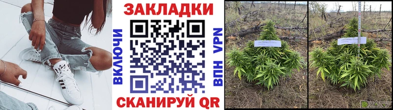 Где купить наркотики Сухой Лог COCAIN  Меф мяу мяу  БУТИРАТ  ГАШ  МЕГА как зайти  A PVP 